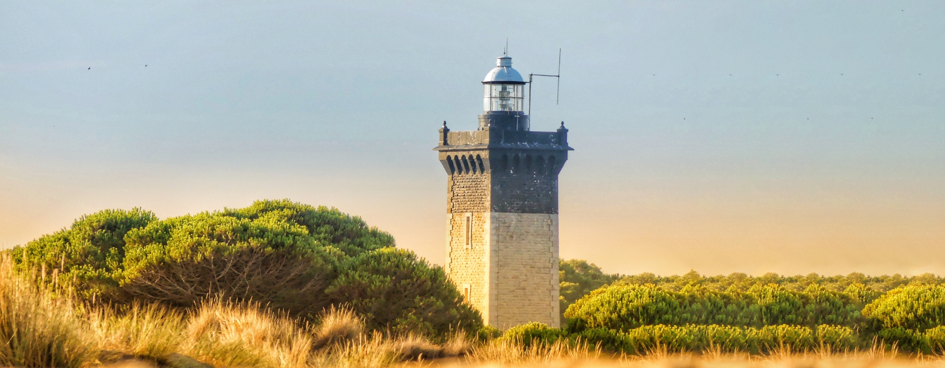 phare espiguette camargue