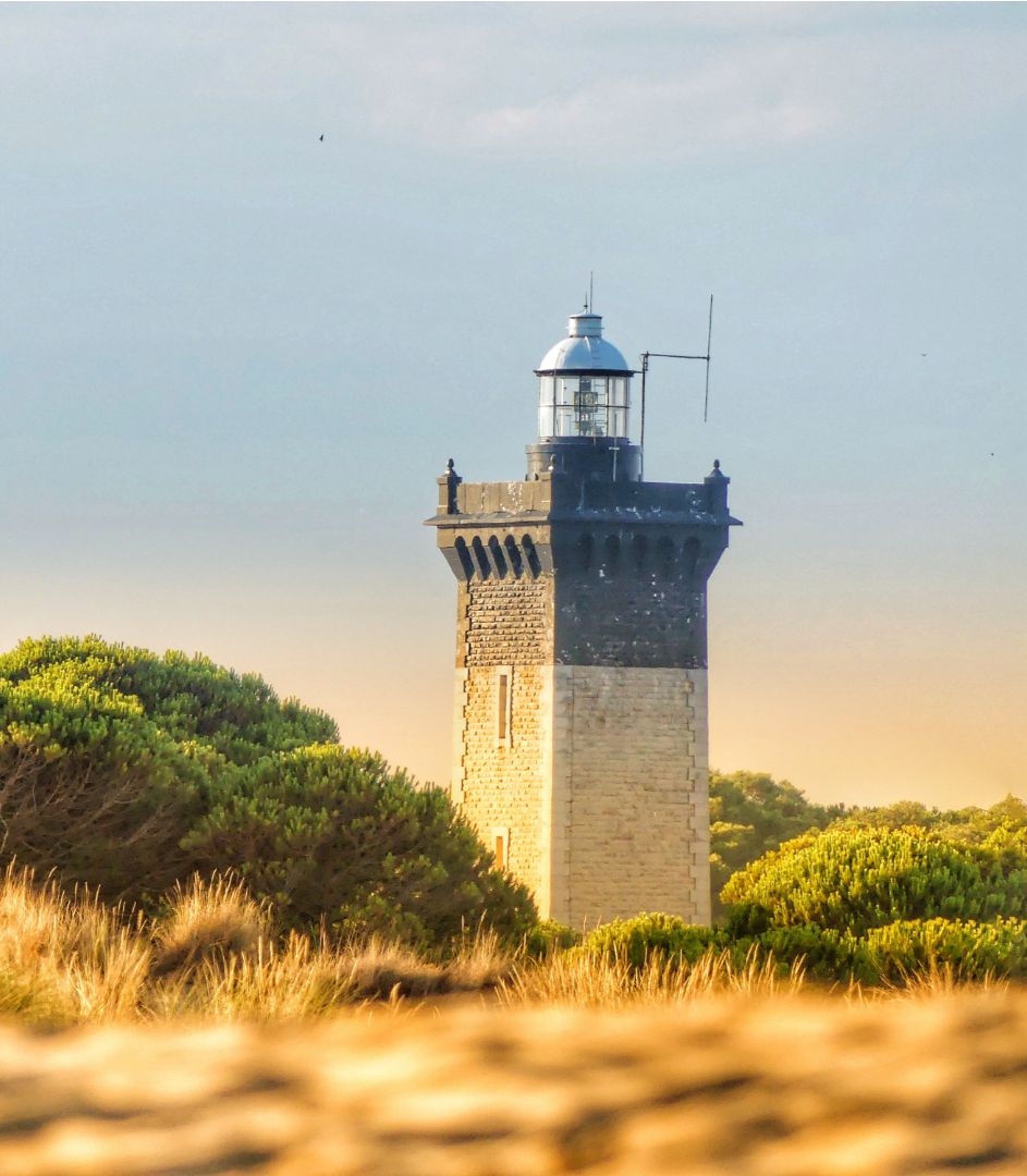 visite touristique phare espiguette