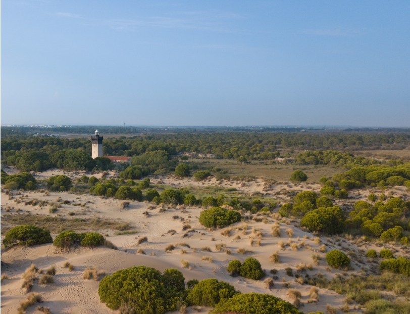 phare grau du roi