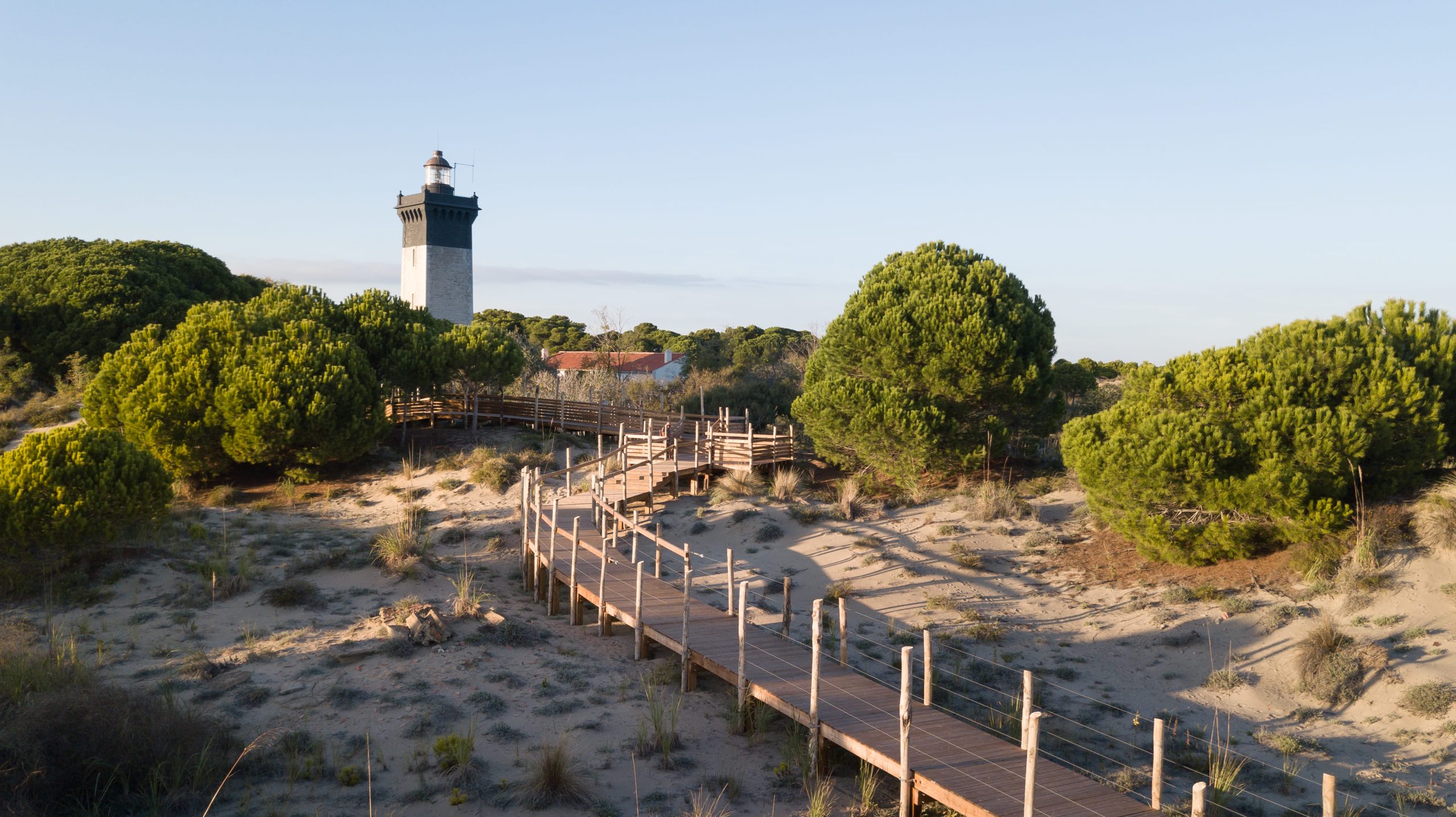 Passerelle phare de l'Espiguette