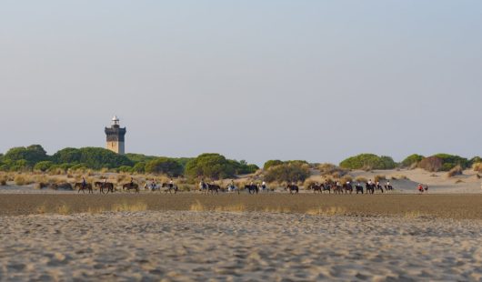 plage de l espiguette