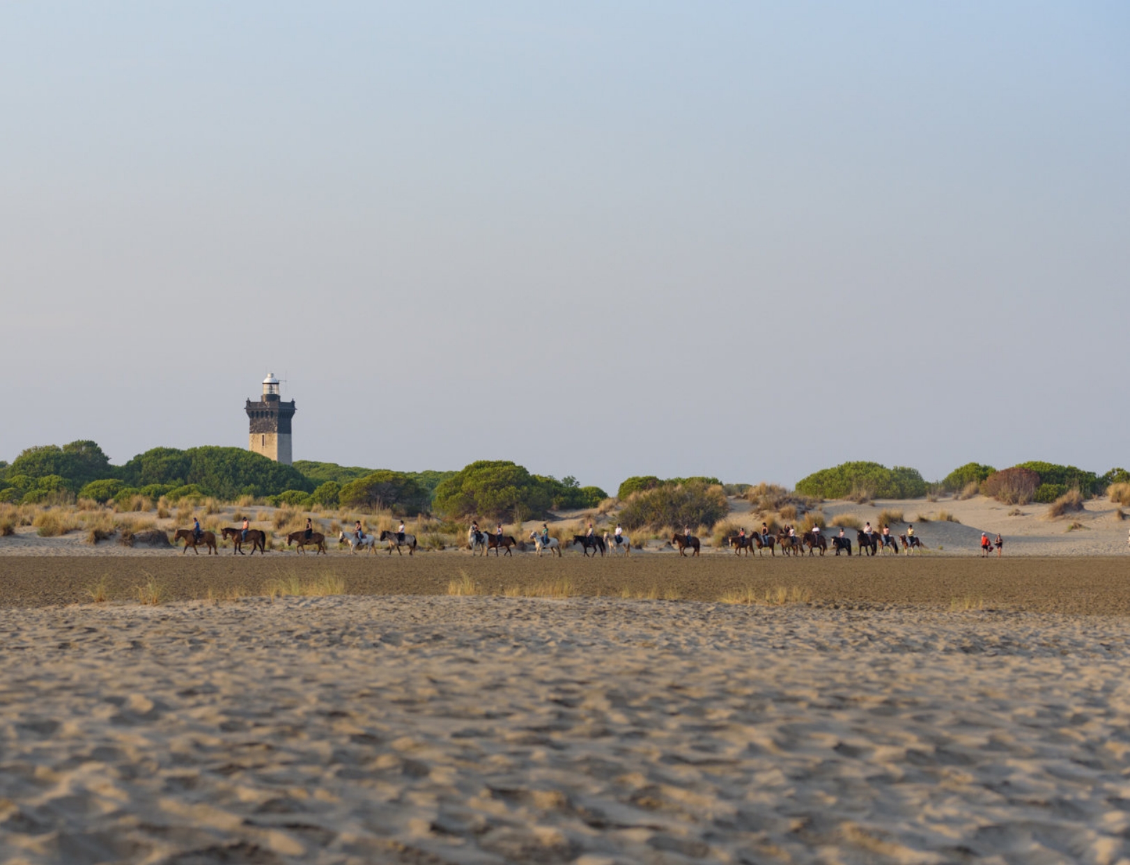 plage de l espiguette