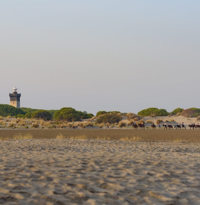 tarif visite phare espiguette