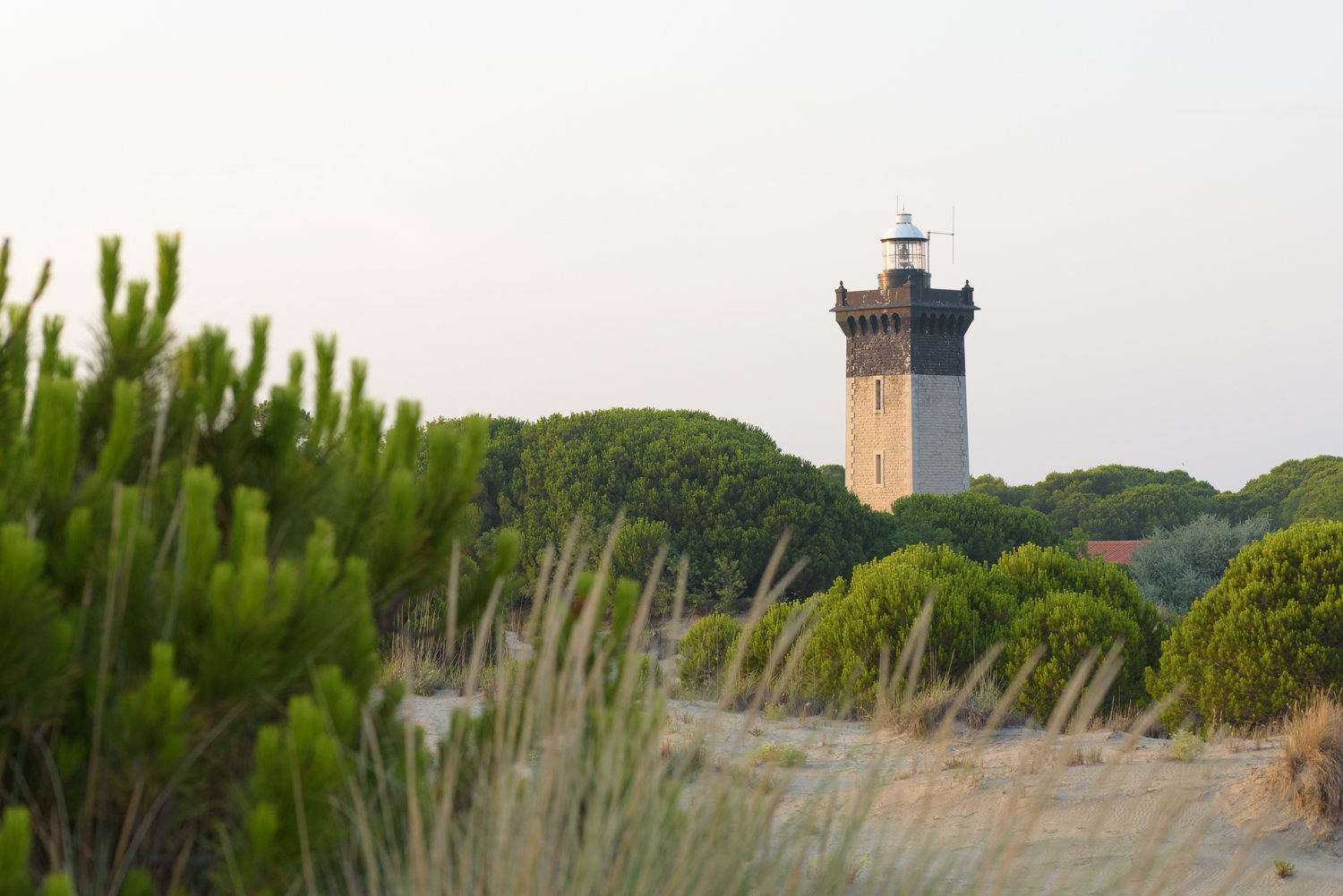 plage de l espiguette